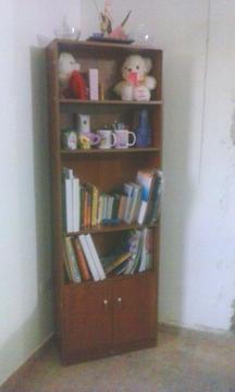 Biblioteca Ideal para Guardar