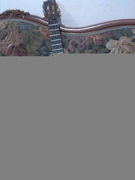 Cuatro De 14 Trastes Para Reparar