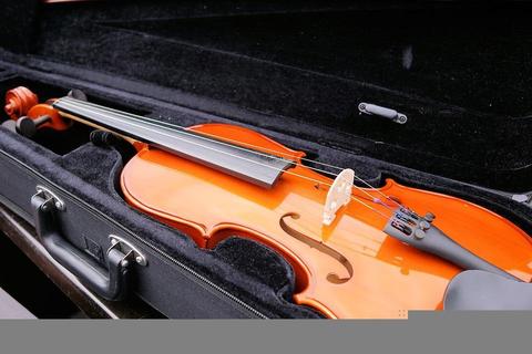 a la venta violin