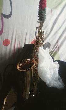 Saxofon Alto Fino para Usarlo