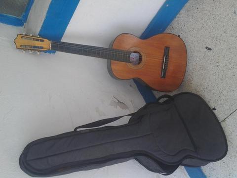 Guitarra Con Estuche