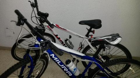 Bicicleta Rin 29 Miura Y Lumig Mas Porta Biciclet Por Viaje