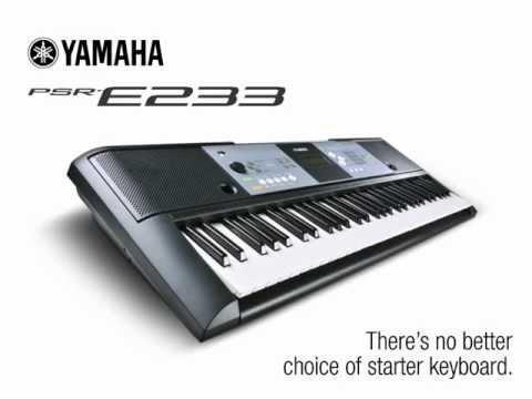 teclado profesional yamaha PSR E233 impecable con estuche paral y cargador
