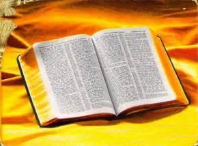 Biblias Lujosas 20x28 como nuevas