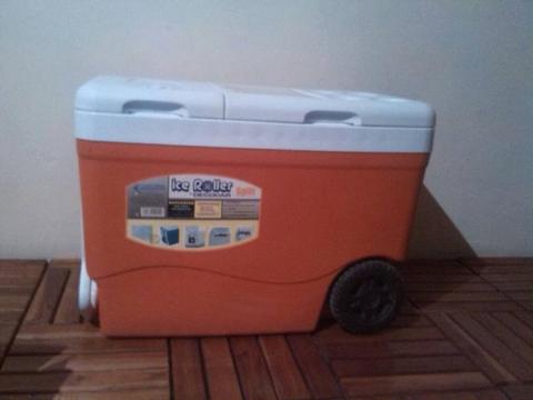 Cava Decovar 55Lt con Termo 2.5