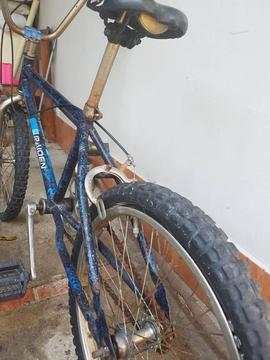 Bicicleta Rin 20