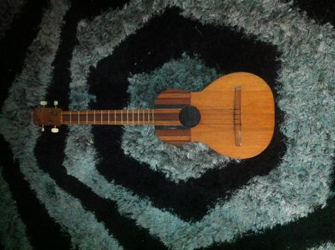 Cuatro Larense 14 Trastes