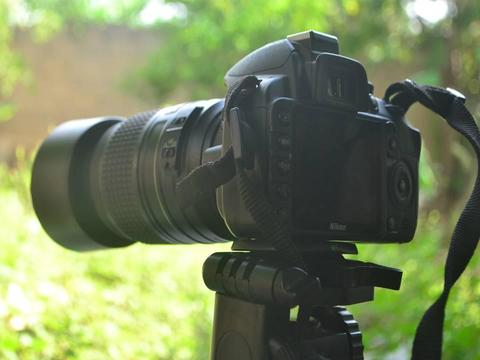Camara Nikon D 3100 NUEVA con lente 55 300 con filtro UV, tripode mx, dos baterias Y CARGADOR