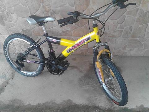 Bicicleta de montaña rin 20