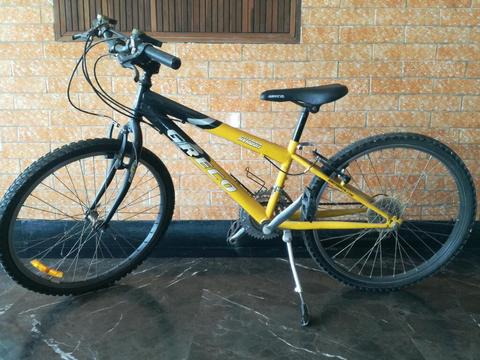 Bicicleta Greco