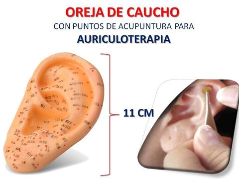 Modelo Anatómico De Oreja Para Auriculoterapia