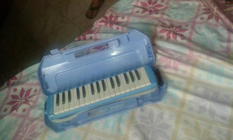 Mini organo de viento