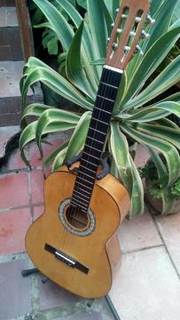 Guitarra Clasica Dixon