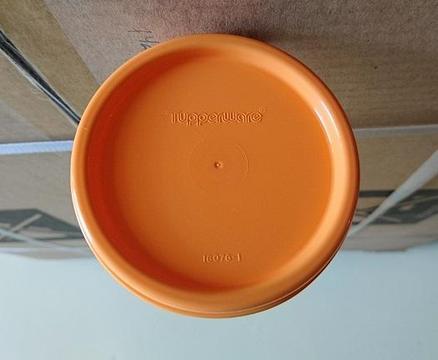 ENVASE TUPPERWARE PARA ESPAGUETIS