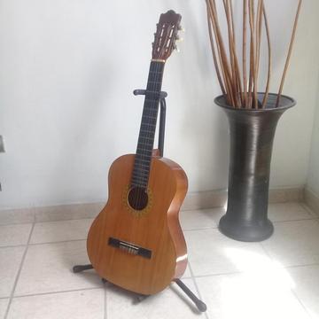 GUITARRA ACUSTICA HOHNER