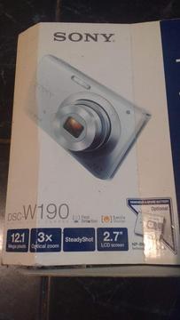 Camara DSC W190