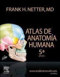 Libro ATLAS DE ANATOMÍA HUMANA Netter 5ª ED