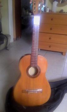 Guitarra Acustica
