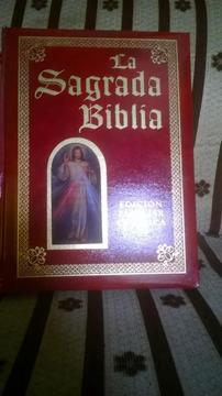 Sagrada Biblia version Catolica