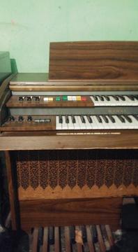 organo Musical