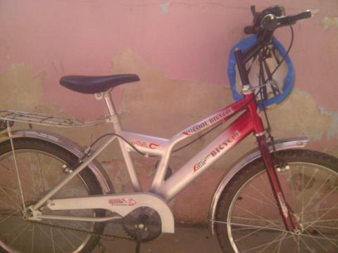 Bicicleta R20