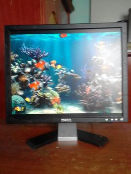 Monitor Dell de 17 Pulgadas