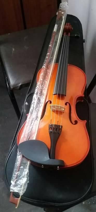 violin con su bolso