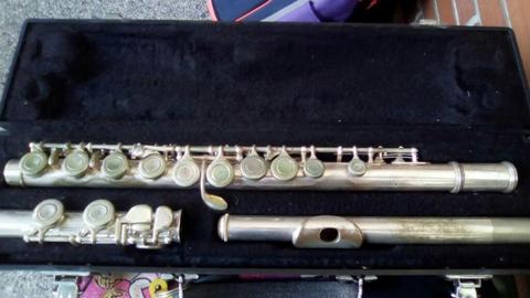 Flauta Transversal Healy