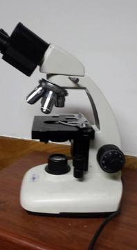 VENDO MICROSCOPIO GLOBE GERMANY