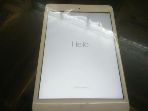 iPad Mini 16gb Wifi