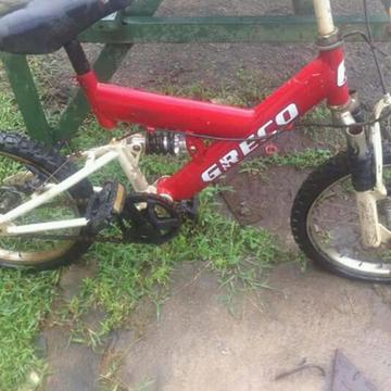 Bicicleta Rin 16 Greco O Cambio