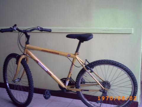 BICICLETA RIN 26