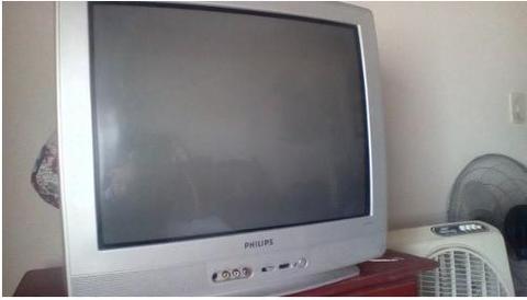 televisor phillips 21 pulgadas
