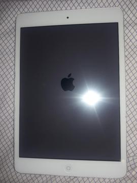 iPad Mini2