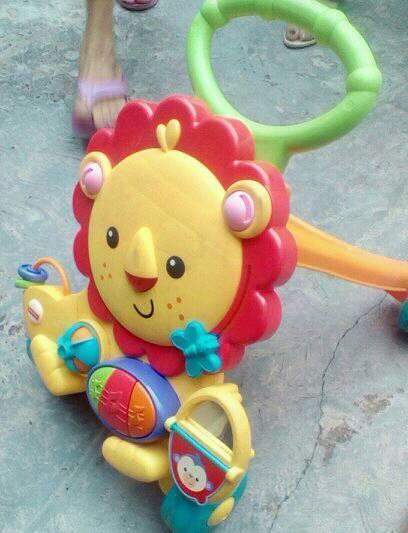 Andadera Caminadora Leon Camina Conmigo