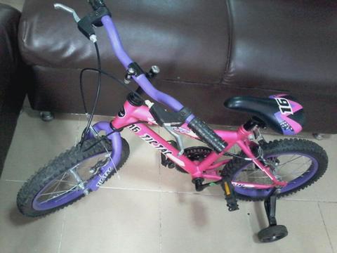 Bicicleta Rin 16