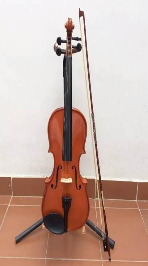 Violin Marca Nobre