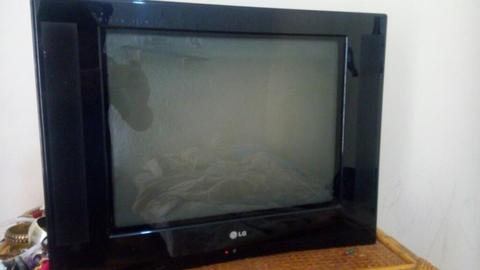 Tv Lg 19 Pantalla Plana con Su Control