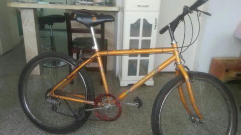 Bicicleta Rin 26 en Venta